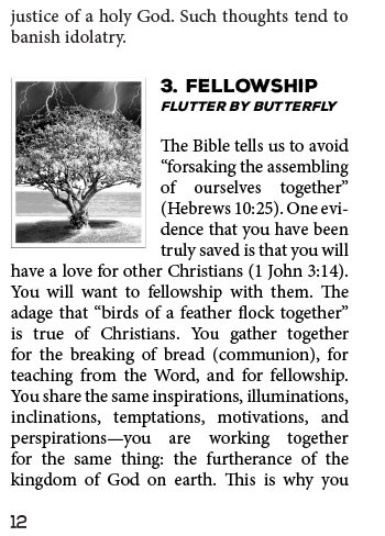 Save Yourself Some Pain (booklet) - Image 13