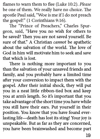 Save Yourself Some Pain (booklet) - Image 20