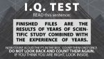 IQ test Count the F's (100pk)