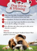 Dog Trivia & Training (100pk)