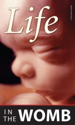 In The Womb (100pk)