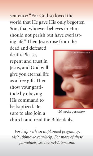 In The Womb (100pk) - Image 7