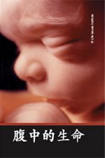 In The Womb (Chinese Simplified) (20pk)